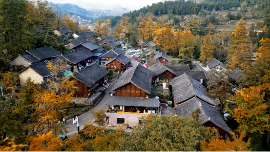 妥乐古银杏景区旅游攻略