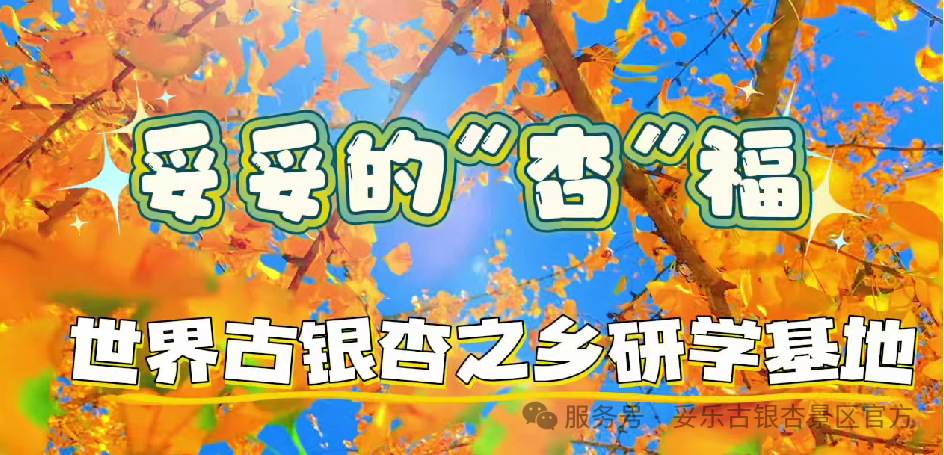<font color='#0d0c0c'>藏在千年银杏林里的宝藏研学基地</font>