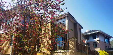 学习教育