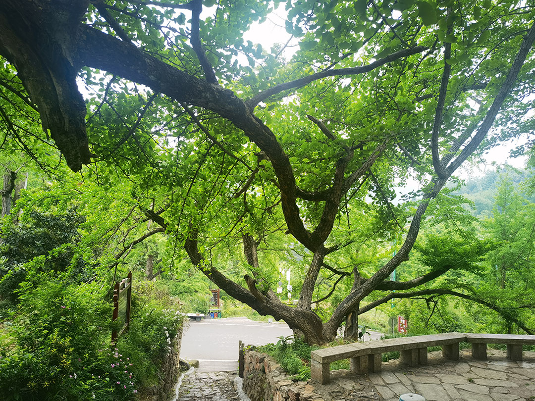 微信图片_20250502111237.jpg